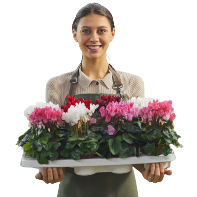 Woman holding tray of flowers